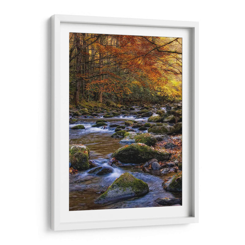 Otoño En Little River - Danny Head | Cuadro decorativo de Canvas Lab