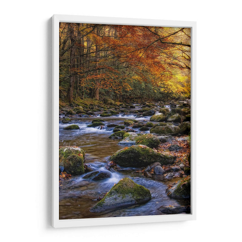 Otoño En Little River - Danny Head | Cuadro decorativo de Canvas Lab