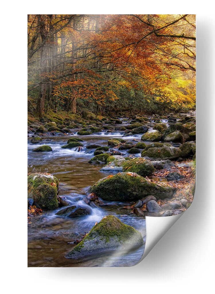 Otoño En Little River - Danny Head | Cuadro decorativo de Canvas Lab