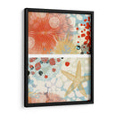 Mariposa Mélange I | Cuadro decorativo de Canvas Lab