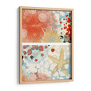 Mariposa Mélange I | Cuadro decorativo de Canvas Lab