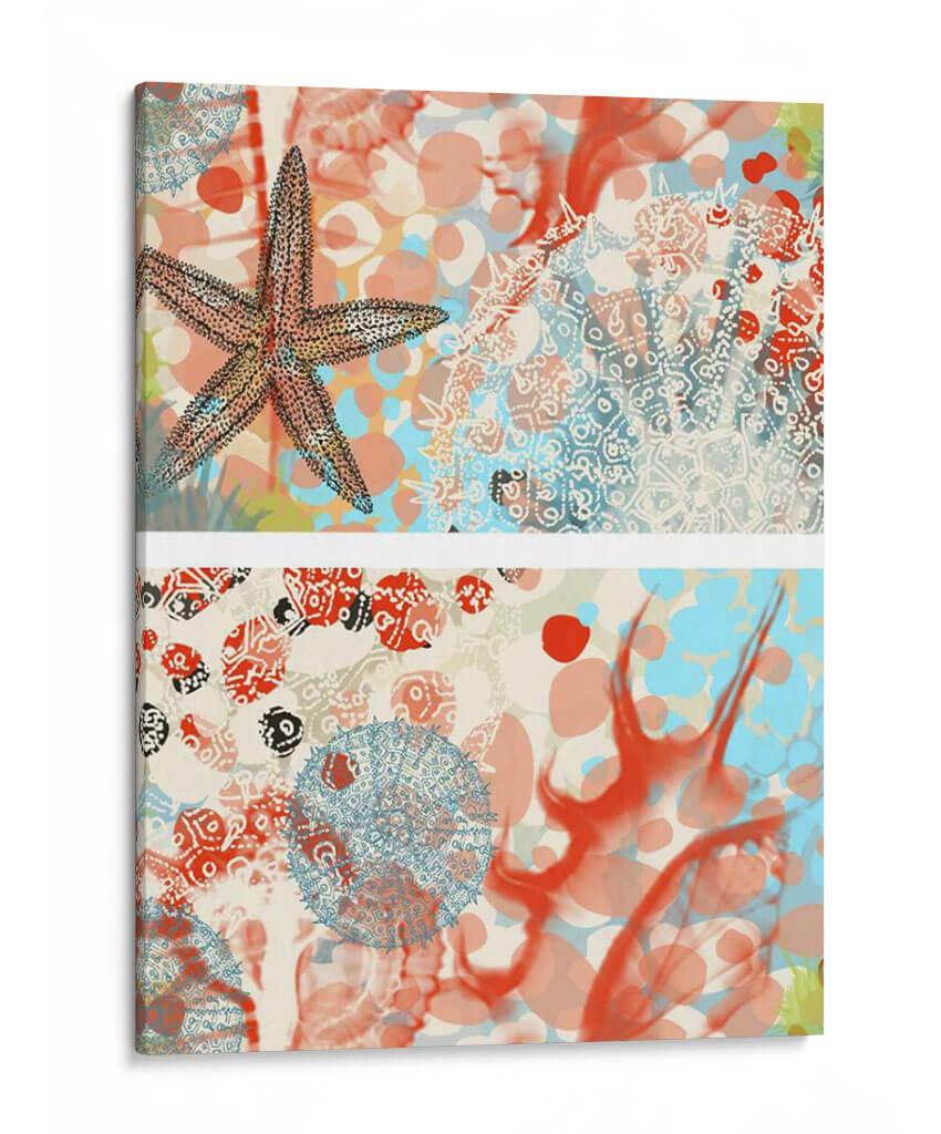 Mariposa Mélange Iv | Cuadro decorativo de Canvas Lab