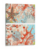 Mariposa Mélange Iv | Cuadro decorativo de Canvas Lab