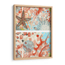 Mariposa Mélange Iv | Cuadro decorativo de Canvas Lab