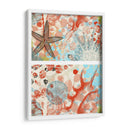 Mariposa Mélange Iv | Cuadro decorativo de Canvas Lab