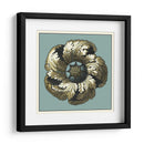 Medallón Floral Ii - Vision Studio | Cuadro decorativo de Canvas Lab