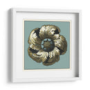 Medallón Floral Ii - Vision Studio | Cuadro decorativo de Canvas Lab