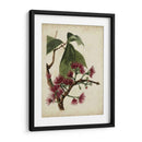 Árbol De Franja Antiguo No Adornado - Weddell | Cuadro decorativo de Canvas Lab