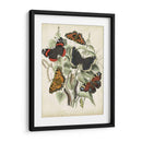 No Está Adornado Mariposa Refugio I - Vision Studio | Cuadro decorativo de Canvas Lab