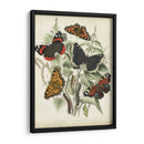 No Está Adornado Mariposa Refugio I - Vision Studio | Cuadro decorativo de Canvas Lab