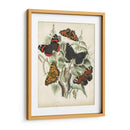 No Está Adornado Mariposa Refugio I - Vision Studio | Cuadro decorativo de Canvas Lab