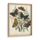 No Está Adornado Mariposa Refugio I - Vision Studio | Cuadro decorativo de Canvas Lab