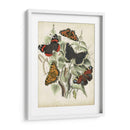 No Está Adornado Mariposa Refugio I - Vision Studio | Cuadro decorativo de Canvas Lab