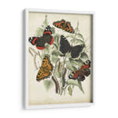 No Está Adornado Mariposa Refugio I - Vision Studio | Cuadro decorativo de Canvas Lab