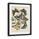 Haverfly Haven Ii No Adornado - Vision Studio | Cuadro decorativo de Canvas Lab