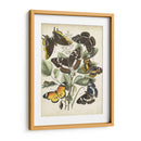 Haverfly Haven Ii No Adornado - Vision Studio | Cuadro decorativo de Canvas Lab