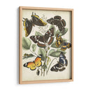 Haverfly Haven Ii No Adornado - Vision Studio | Cuadro decorativo de Canvas Lab