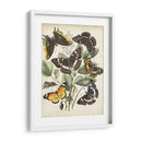 Haverfly Haven Ii No Adornado - Vision Studio | Cuadro decorativo de Canvas Lab