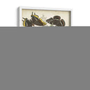 Haverfly Haven Ii No Adornado - Vision Studio | Cuadro decorativo de Canvas Lab