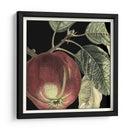 Manzana Dramática - Vision Studio | Cuadro decorativo de Canvas Lab