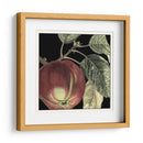 Manzana Dramática - Vision Studio | Cuadro decorativo de Canvas Lab