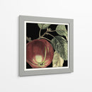 Manzana Dramática - Vision Studio | Cuadro decorativo de Canvas Lab