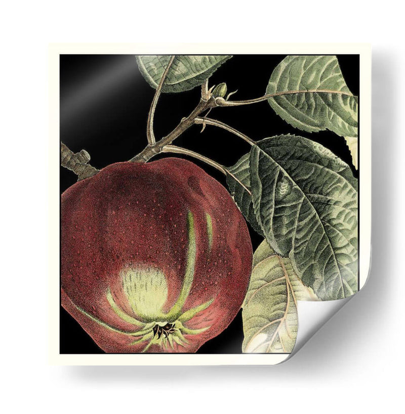 Manzana Dramática - Vision Studio | Cuadro decorativo de Canvas Lab