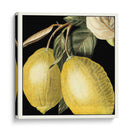 Limón Dramático - Vision Studio | Cuadro decorativo de Canvas Lab