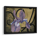Iris Y Rollos I - Jennifer Goldberger | Cuadro decorativo de Canvas Lab