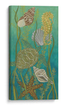 Vida Acuática Ii - Chariklia Zarris | Cuadro decorativo de Canvas Lab