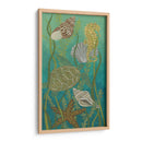 Vida Acuática Ii - Chariklia Zarris | Cuadro decorativo de Canvas Lab