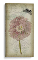 Cartouche Y Floral Ii - Jennifer Goldberger | Cuadro decorativo de Canvas Lab