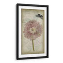 Cartouche Y Floral Ii - Jennifer Goldberger | Cuadro decorativo de Canvas Lab