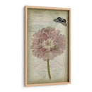 Cartouche Y Floral Ii - Jennifer Goldberger | Cuadro decorativo de Canvas Lab