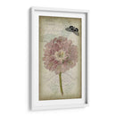 Cartouche Y Floral Ii - Jennifer Goldberger | Cuadro decorativo de Canvas Lab