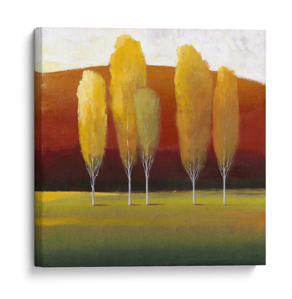 Árboles Brillantes II-II - Tim OToole | Cuadro decorativo de Canvas Lab