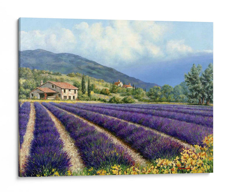 Campos De Lavanda - Michael Swanson | Cuadro decorativo de Canvas Lab