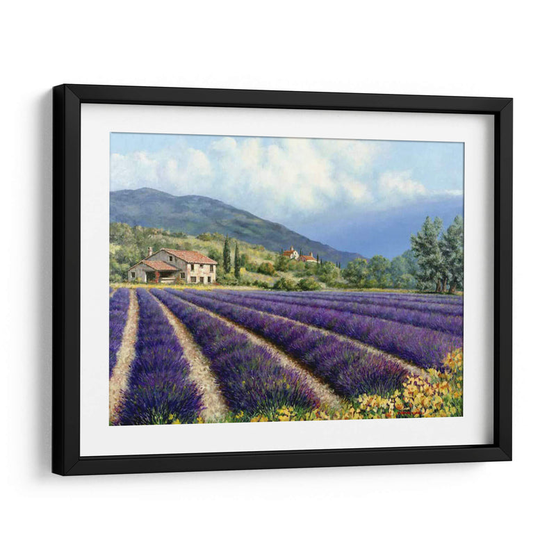 Campos De Lavanda - Michael Swanson | Cuadro decorativo de Canvas Lab