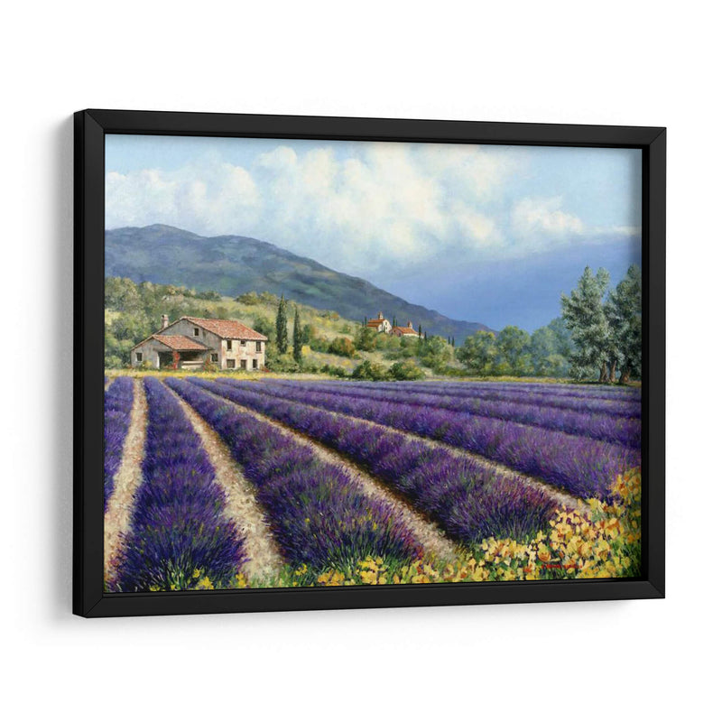 Campos De Lavanda - Michael Swanson | Cuadro decorativo de Canvas Lab