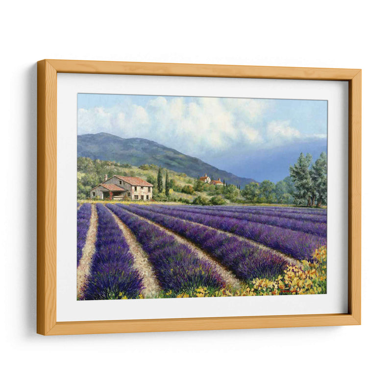 Campos De Lavanda - Michael Swanson | Cuadro decorativo de Canvas Lab