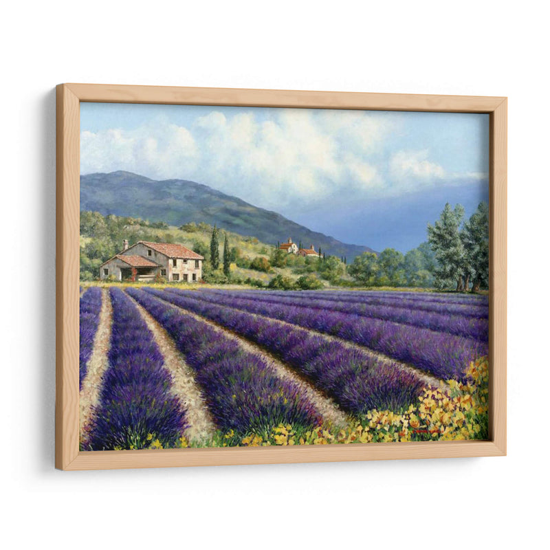 Campos De Lavanda - Michael Swanson | Cuadro decorativo de Canvas Lab