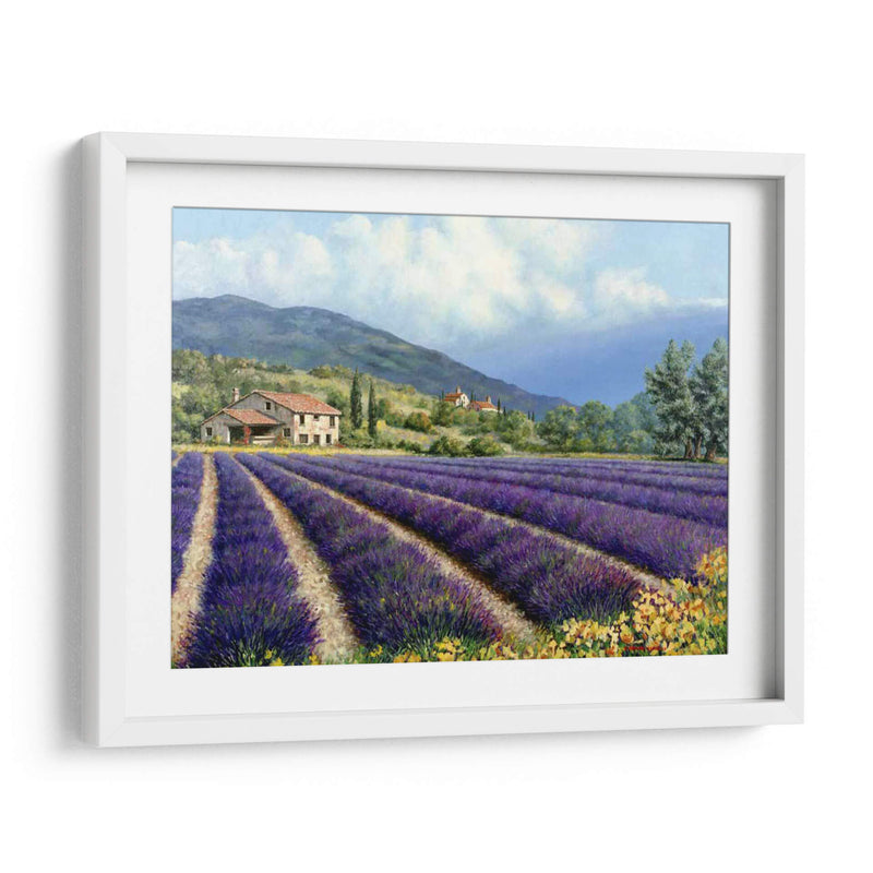 Campos De Lavanda - Michael Swanson | Cuadro decorativo de Canvas Lab