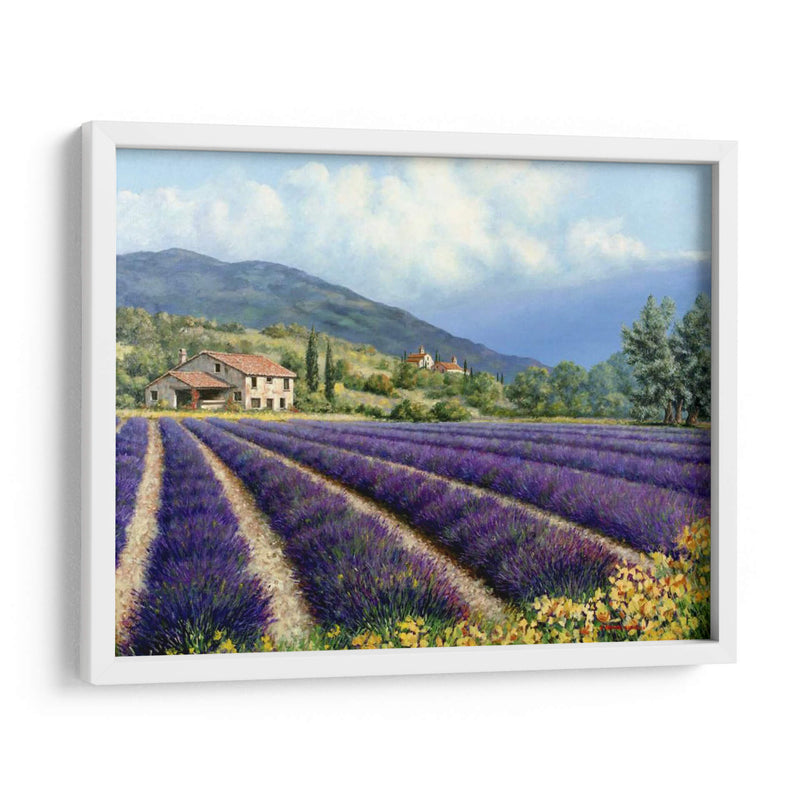 Campos De Lavanda - Michael Swanson | Cuadro decorativo de Canvas Lab