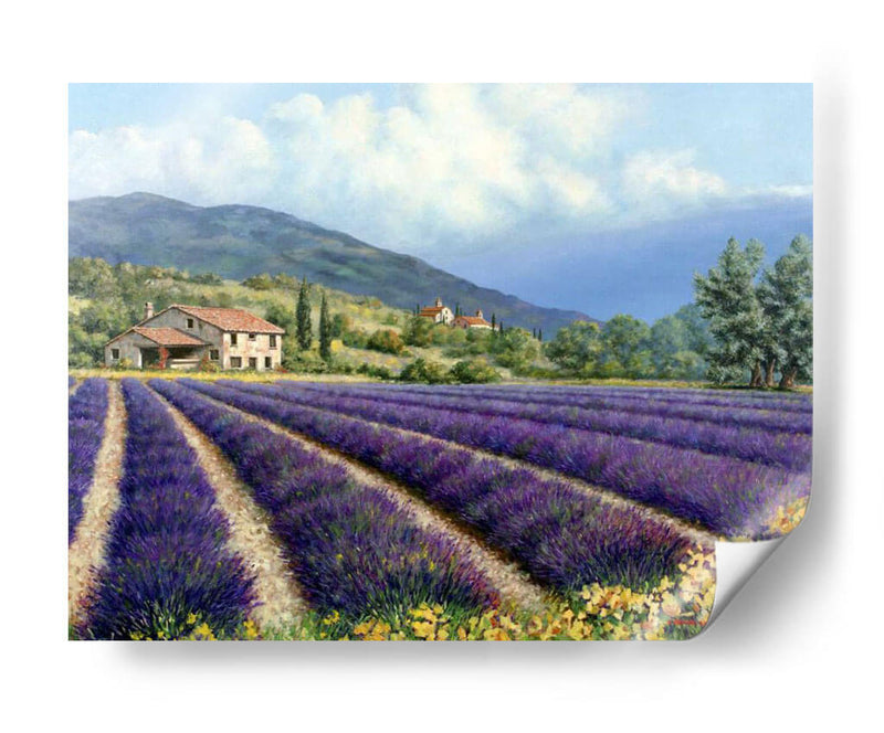 Campos De Lavanda - Michael Swanson | Cuadro decorativo de Canvas Lab