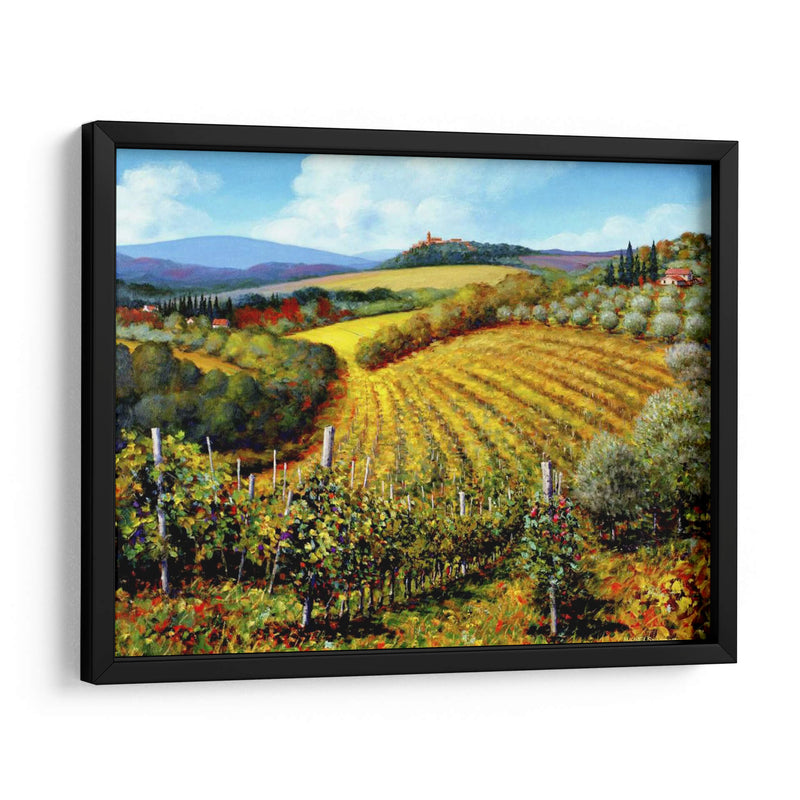 Chianti Vineyards - Michael Swanson | Cuadro decorativo de Canvas Lab