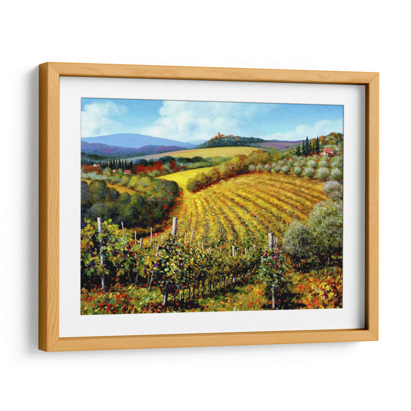 Chianti Vineyards - Michael Swanson | Cuadro decorativo de Canvas Lab