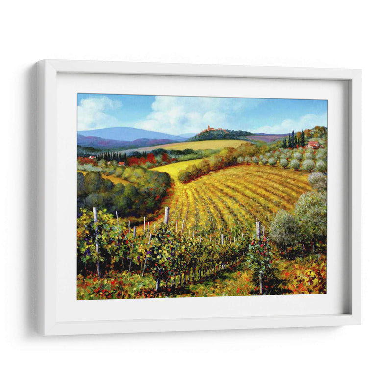 Chianti Vineyards - Michael Swanson | Cuadro decorativo de Canvas Lab