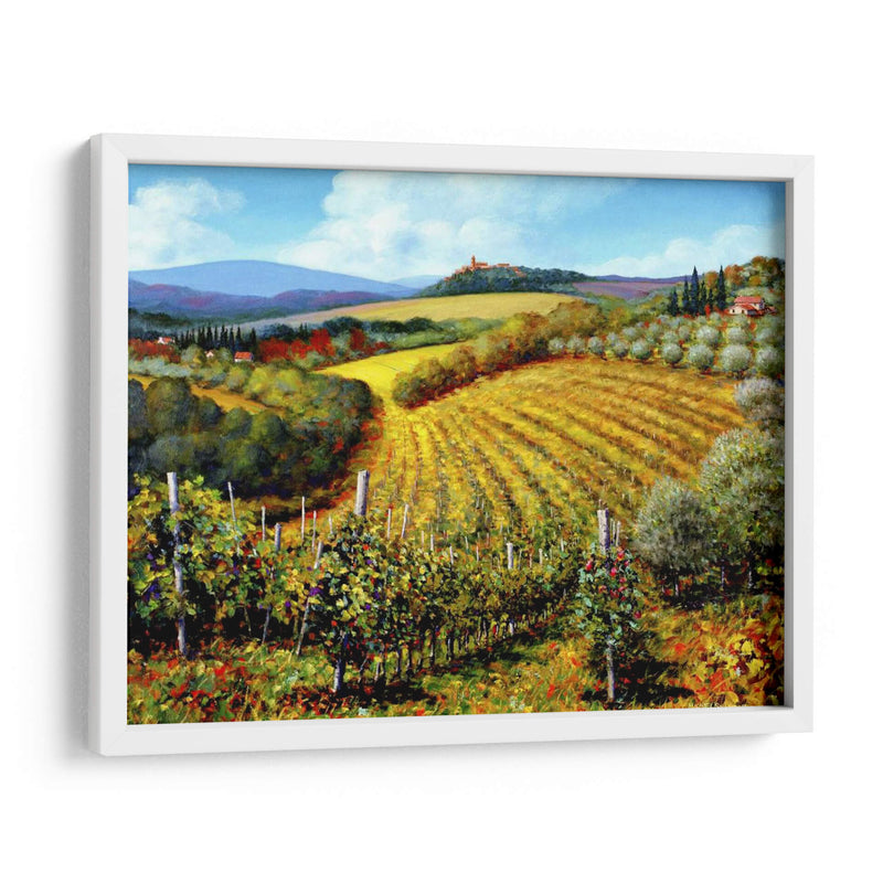 Chianti Vineyards - Michael Swanson | Cuadro decorativo de Canvas Lab