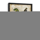 Loros Anticuario I - Vision Studio | Cuadro decorativo de Canvas Lab