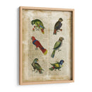 Loros Anticuario I - Vision Studio | Cuadro decorativo de Canvas Lab